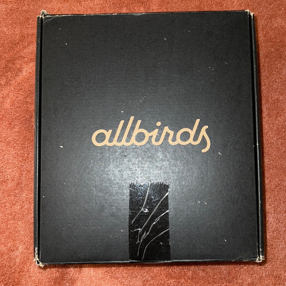 Allbirds Wool Dasher 2 Fluff in Natural Back, Size 10